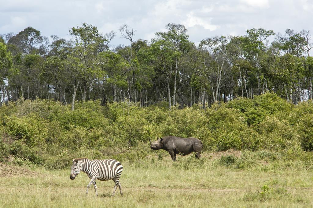 Mara Engai Lodge Lolgorien Dış mekan fotoğraf